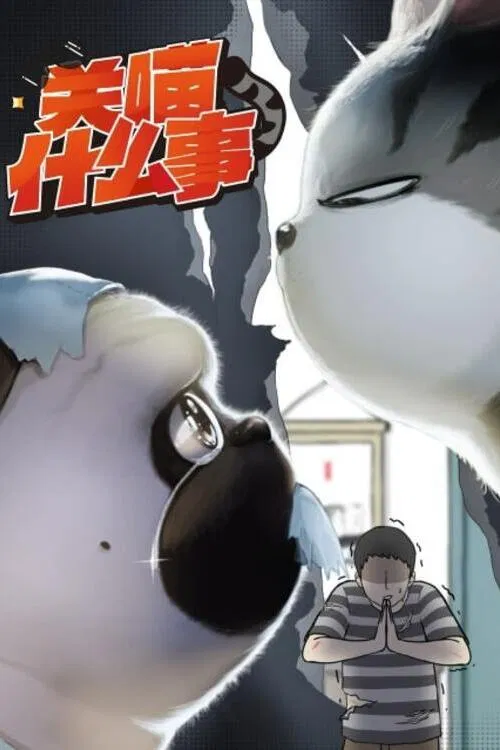 Мой кот ненавидит меня