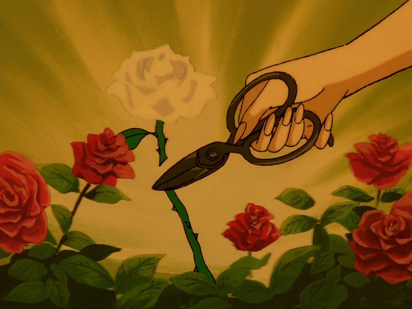 Уважаемый старший брат