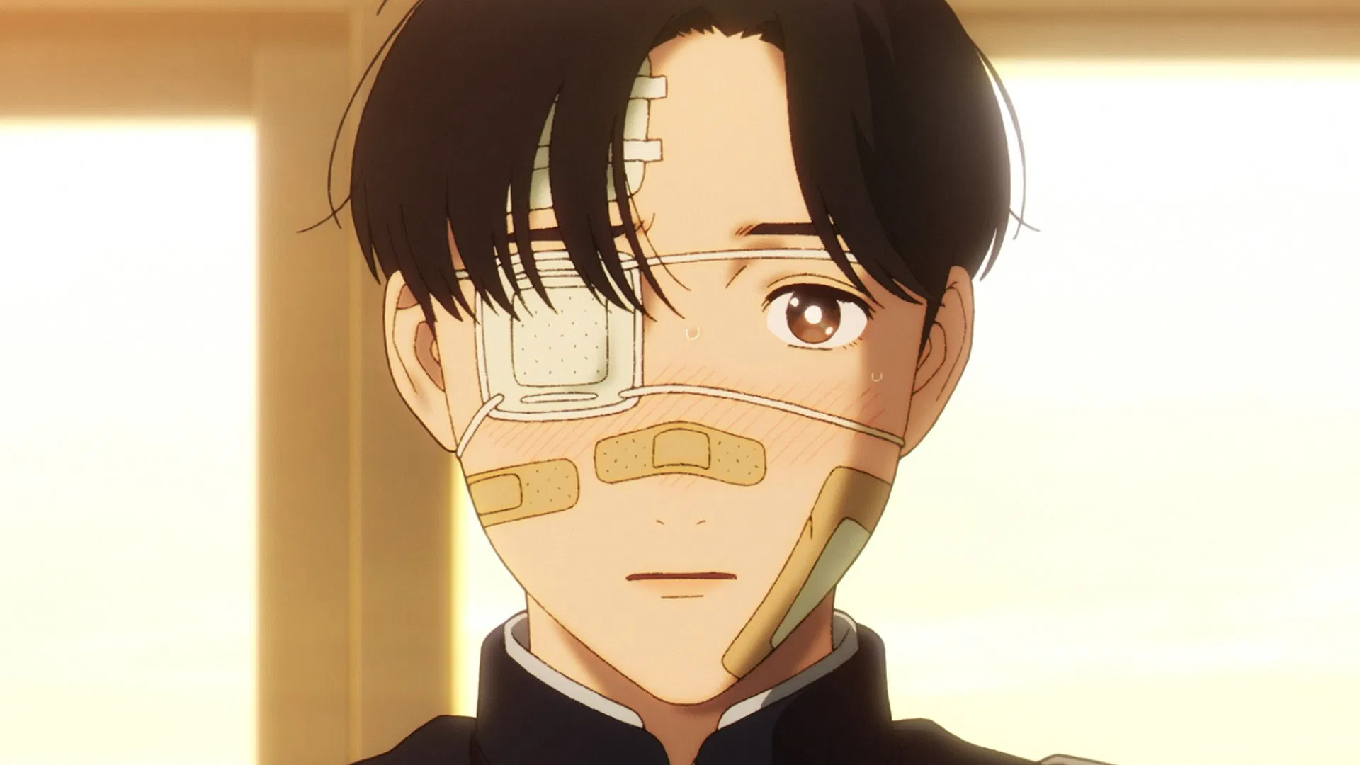 Обыкновенные дни Яно