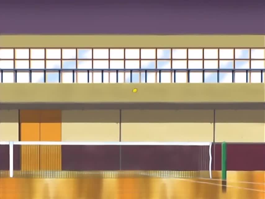 Принц тенниса