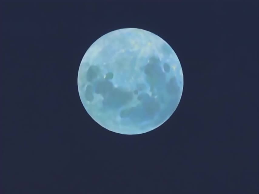 Принц тенниса