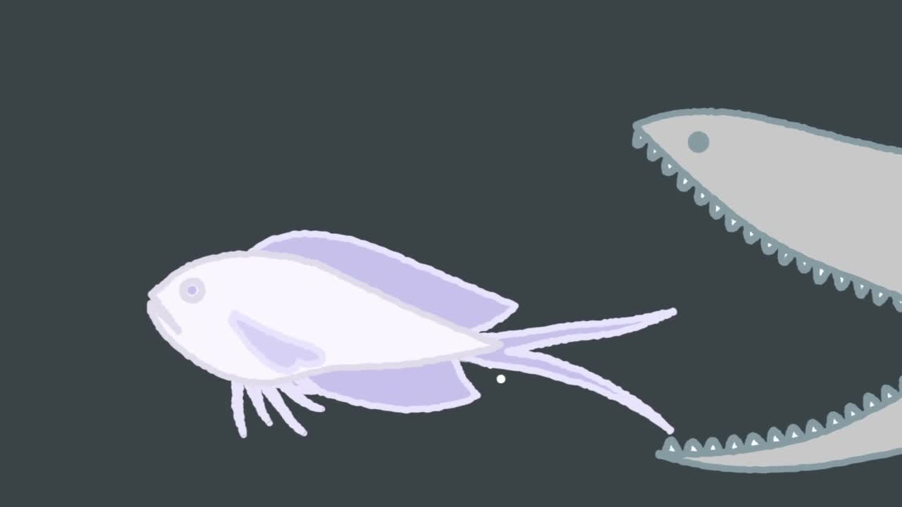 Энциклопедия жалких созданий