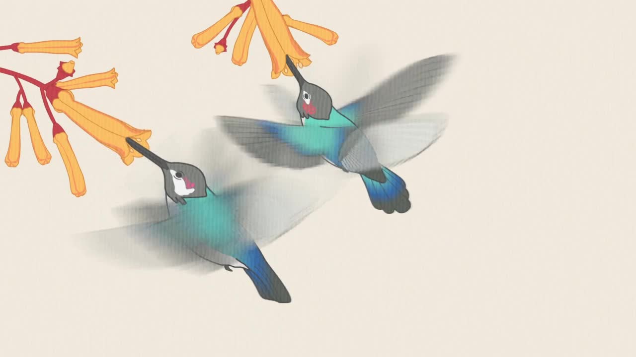 Энциклопедия жалких созданий