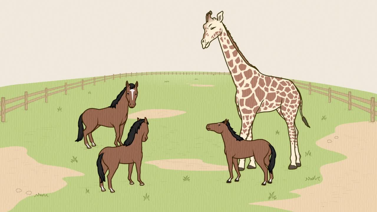 Энциклопедия жалких созданий