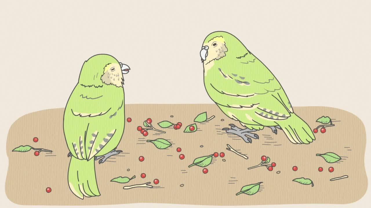 Энциклопедия жалких созданий