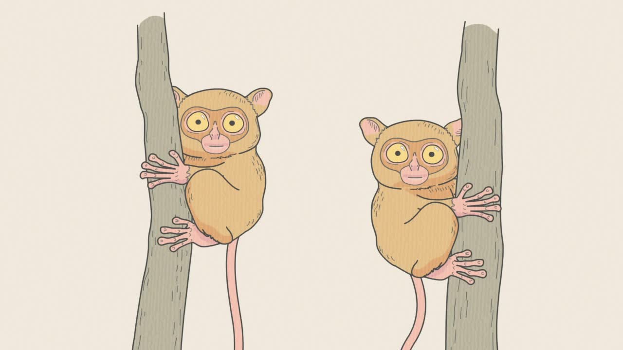 Энциклопедия жалких созданий