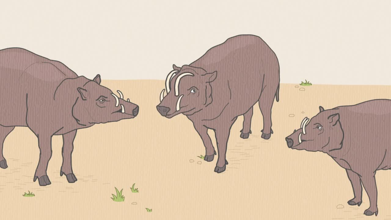 Энциклопедия жалких созданий