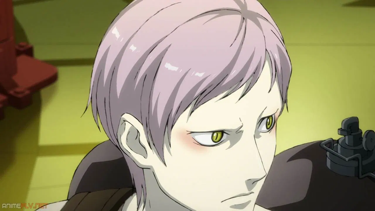 Война двенадцати