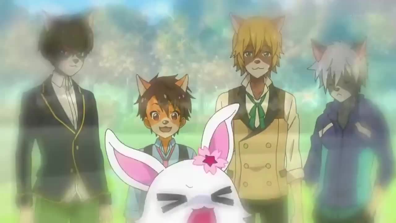 Леди драгоценных зверушек