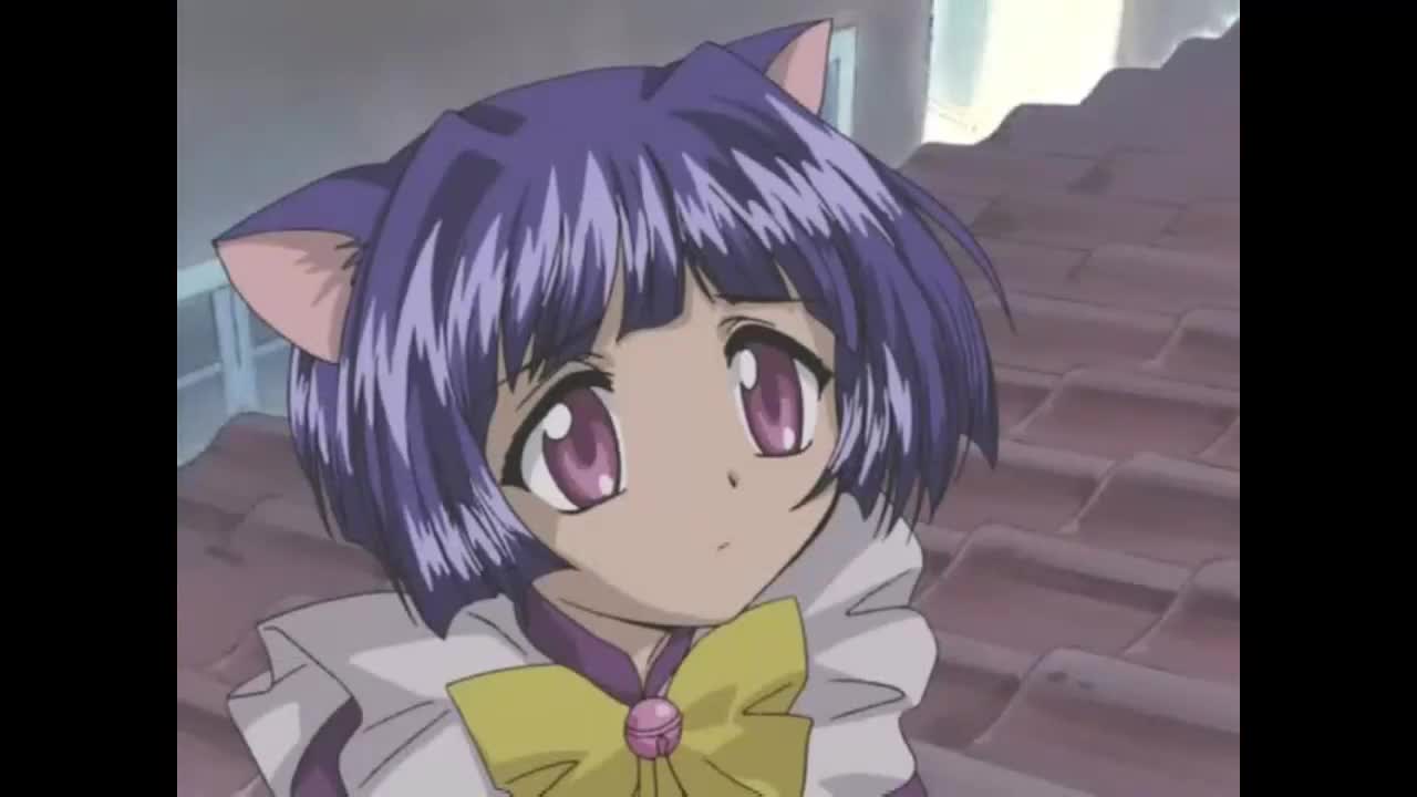 Волшебная девочка-кошка Таруто