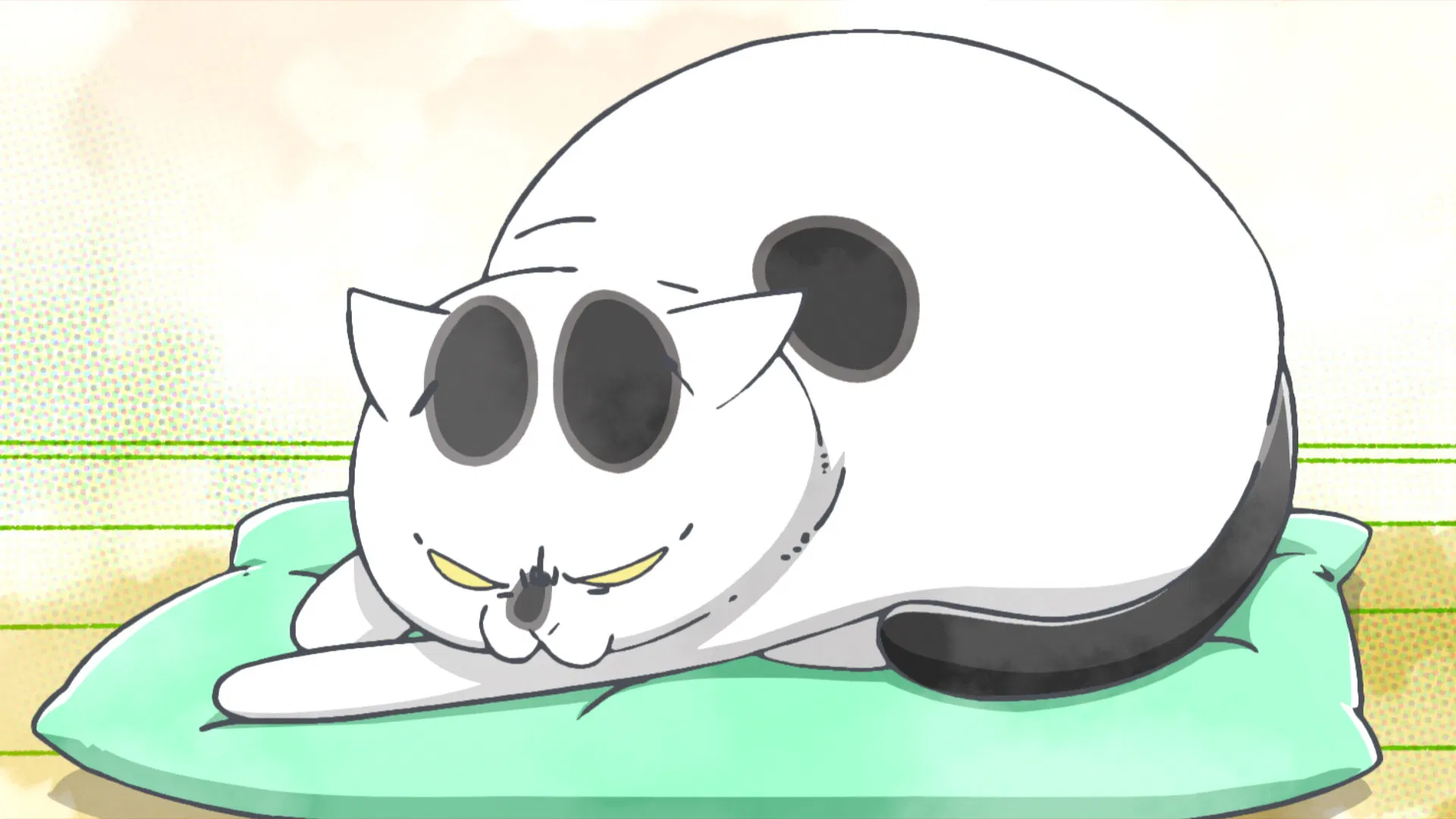 Весёлые дни с кошкой и собакой