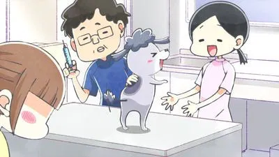 Весёлые дни с кошкой и собакой