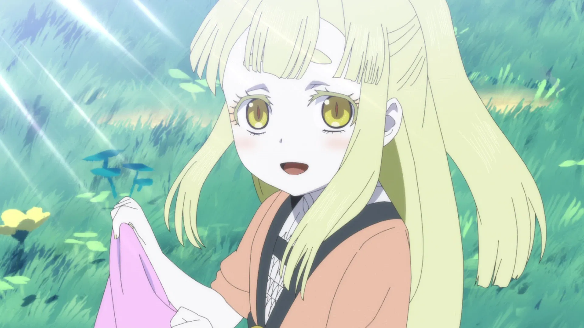 Сомали и Дух леса