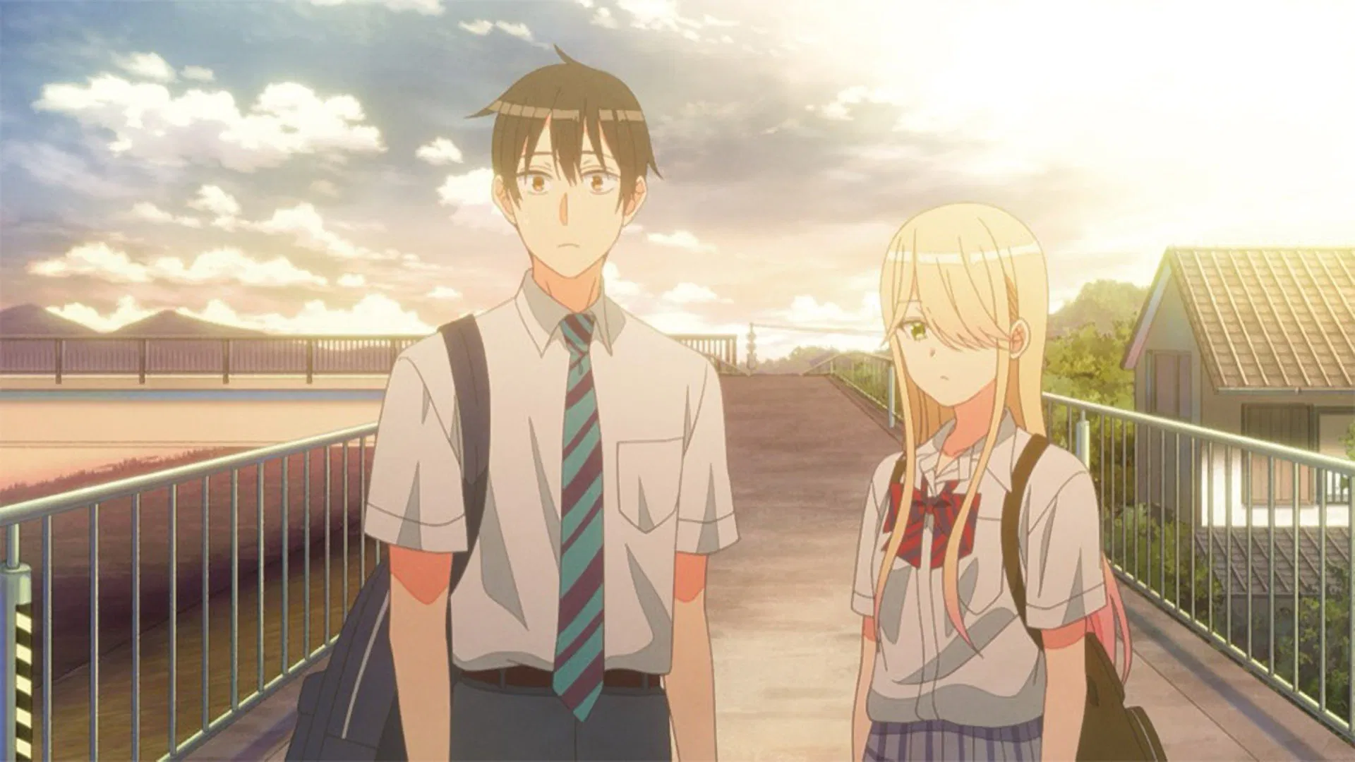 Ватари на грани краха