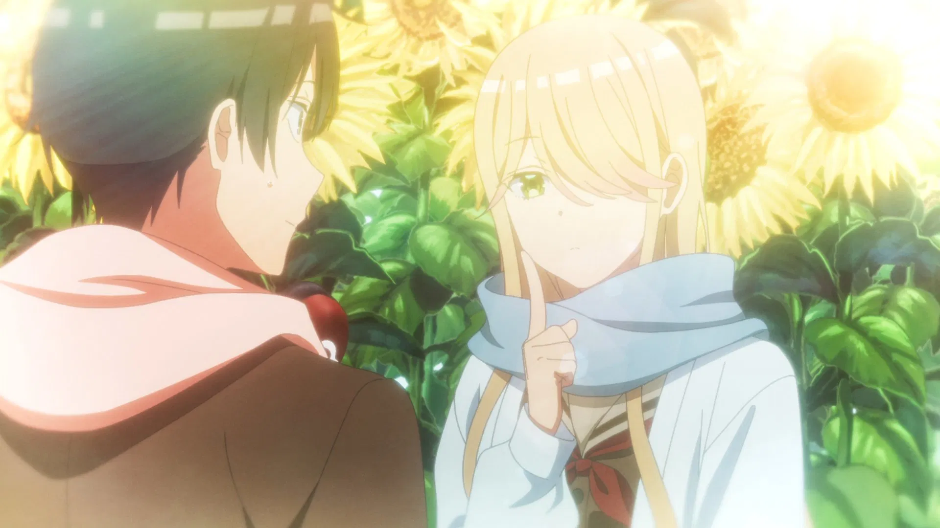 Ватари на грани краха