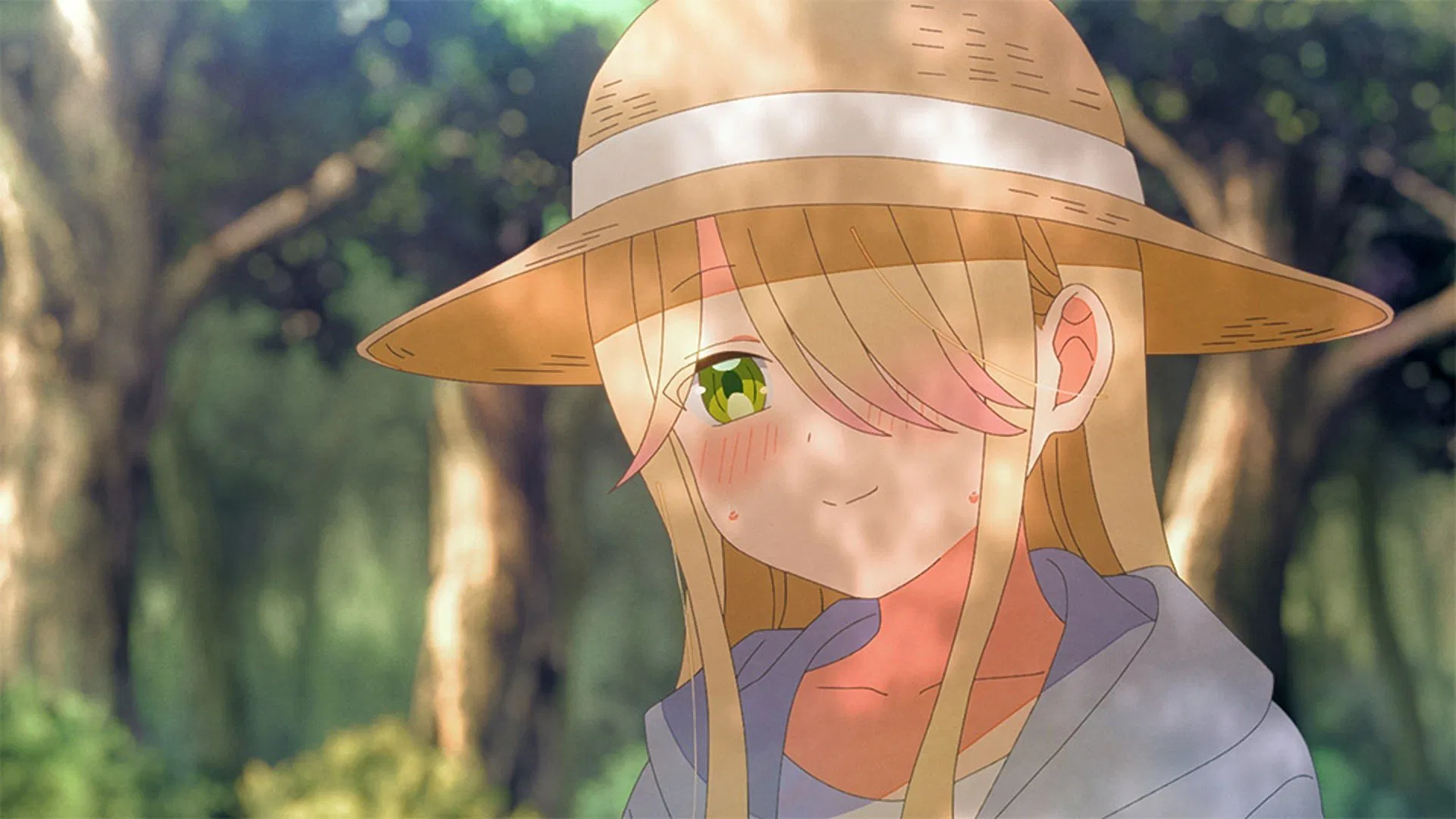 Ватари на грани краха