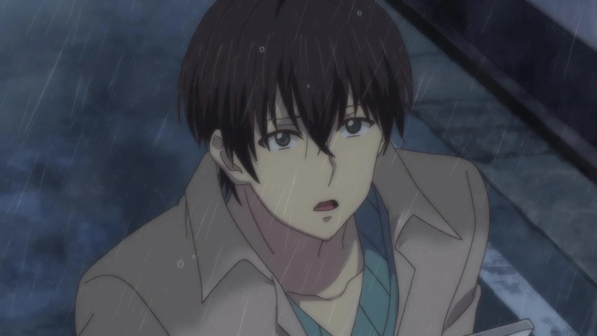 Домашний питомец, иногда сидящий на моей голове