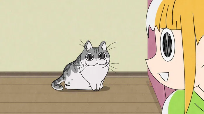 Вечера с кошкой