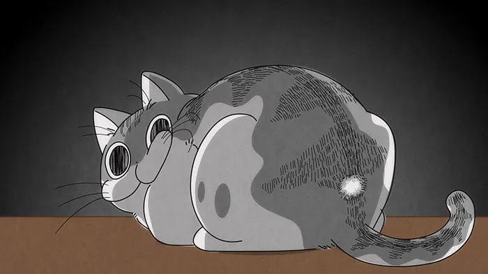 Вечера с кошкой