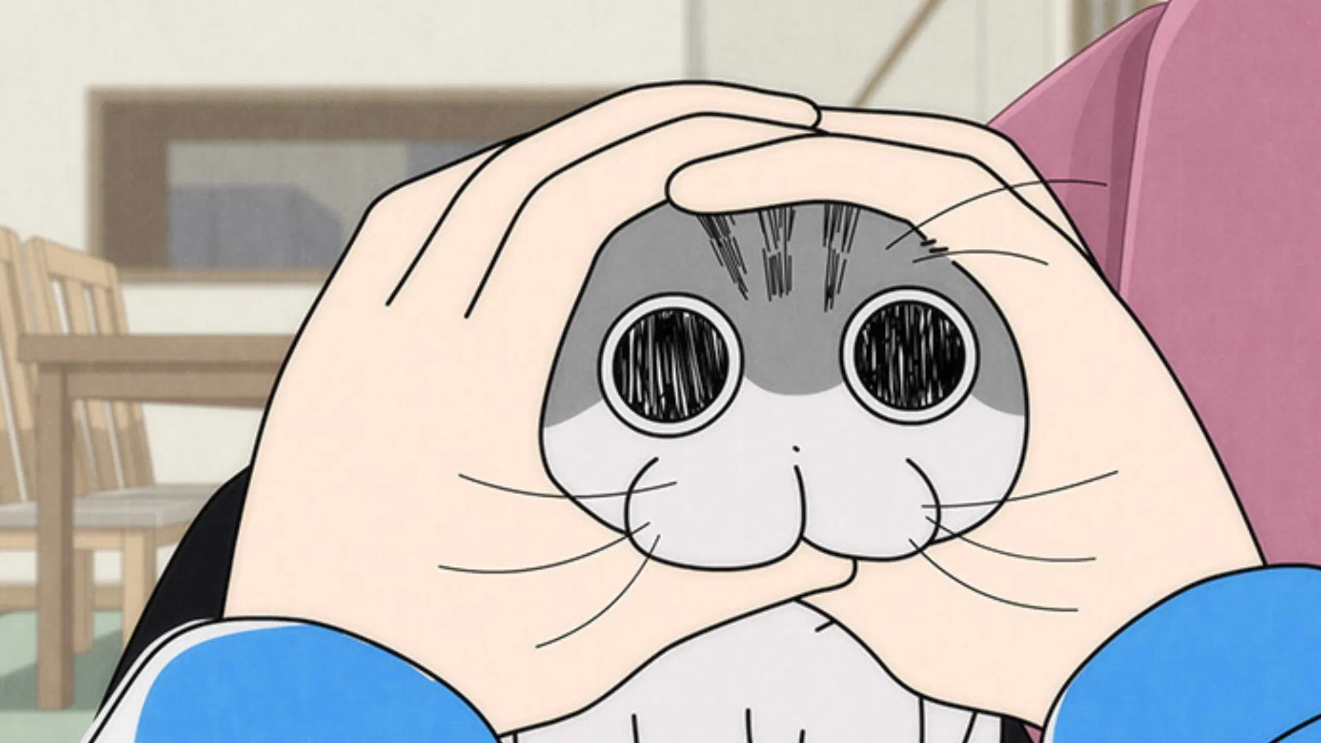 Вечера с кошкой