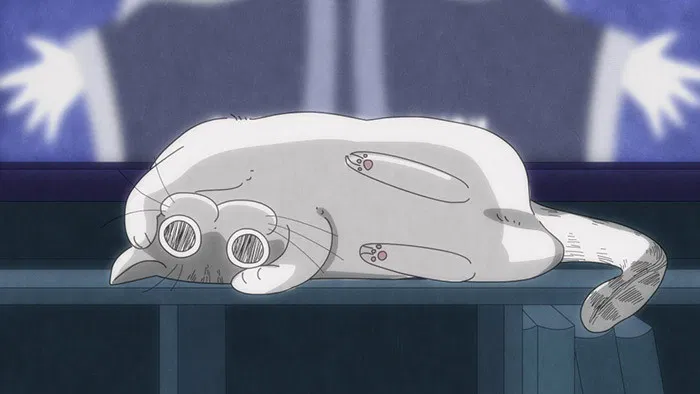 Вечера с кошкой