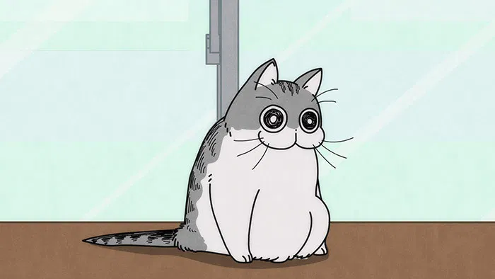 Вечера с кошкой