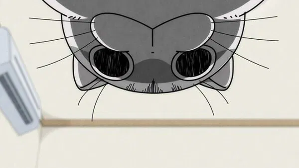 Вечера с кошкой