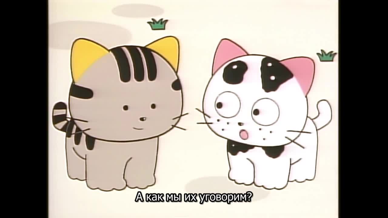 Тама и друзья