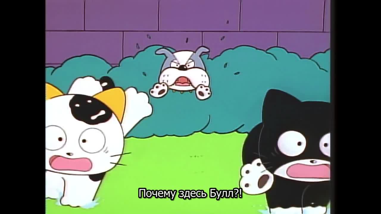 Тама и друзья