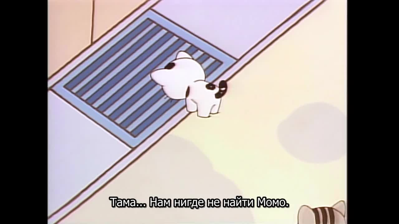 Тама и друзья