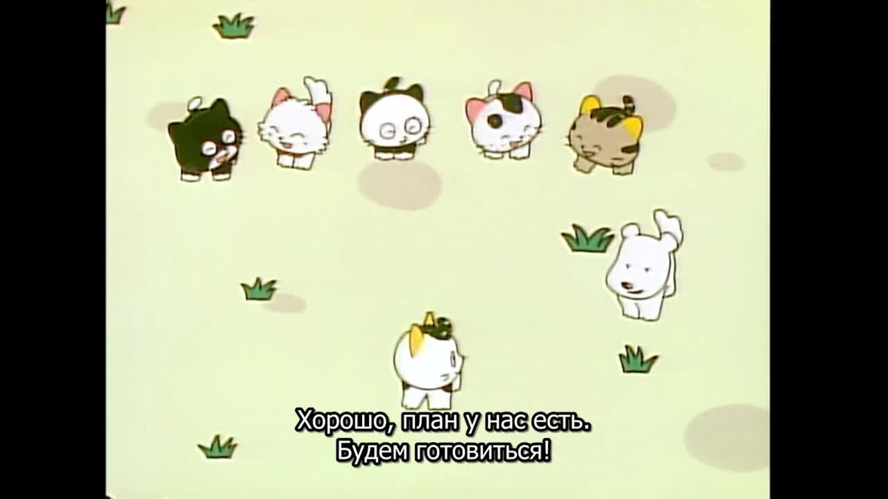 Тама и друзья