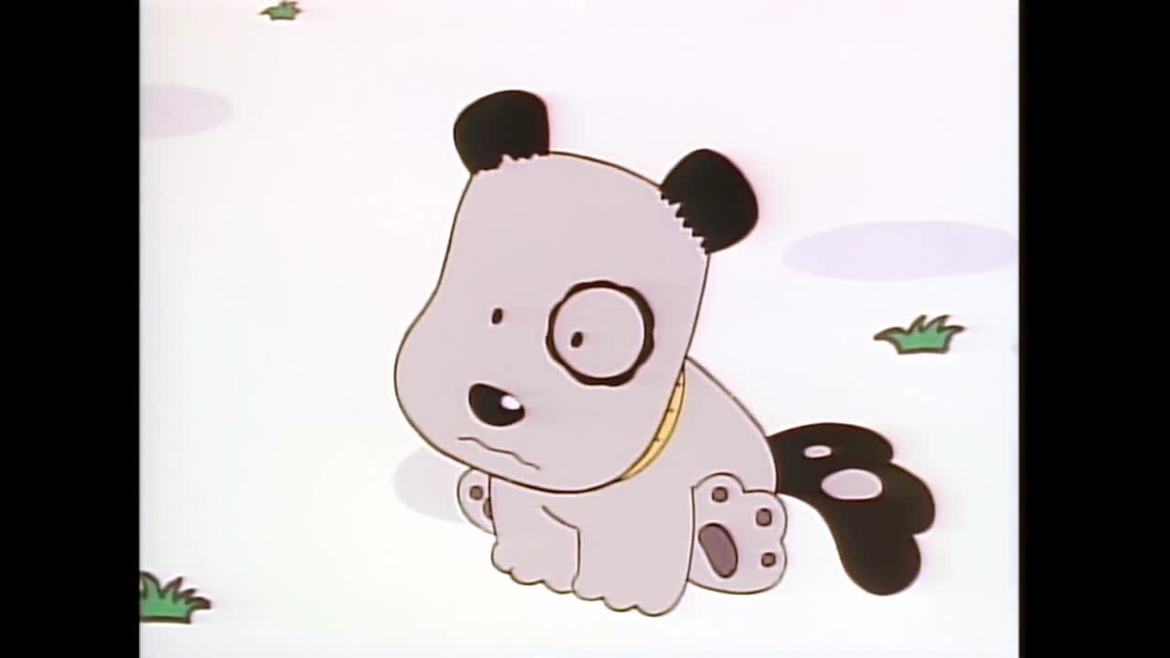 Тама и друзья