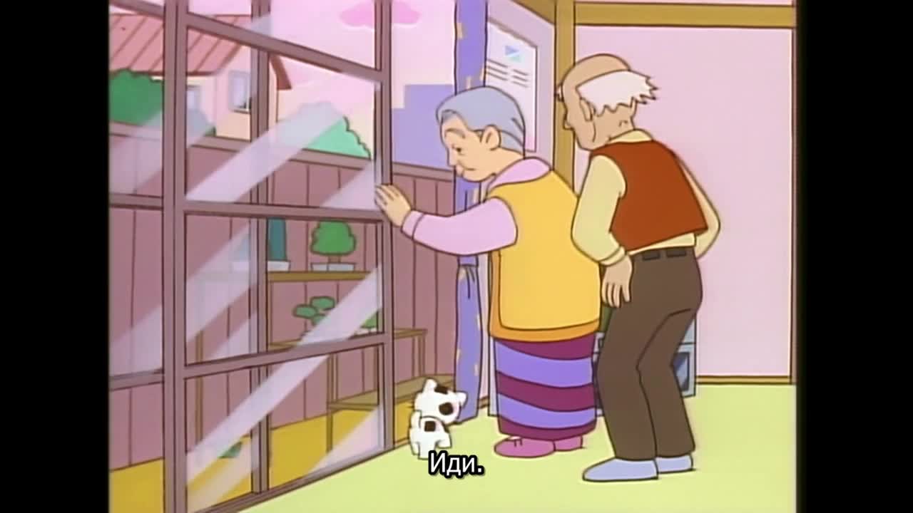 Тама и друзья