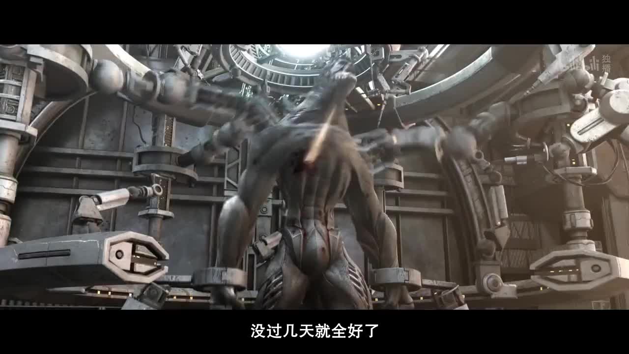 Клетка духа: Воплощение