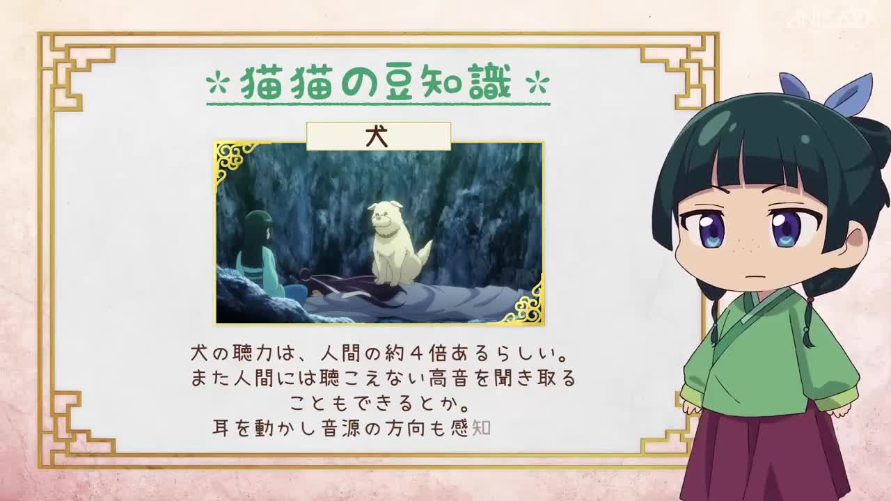 Монолог Маомао 2