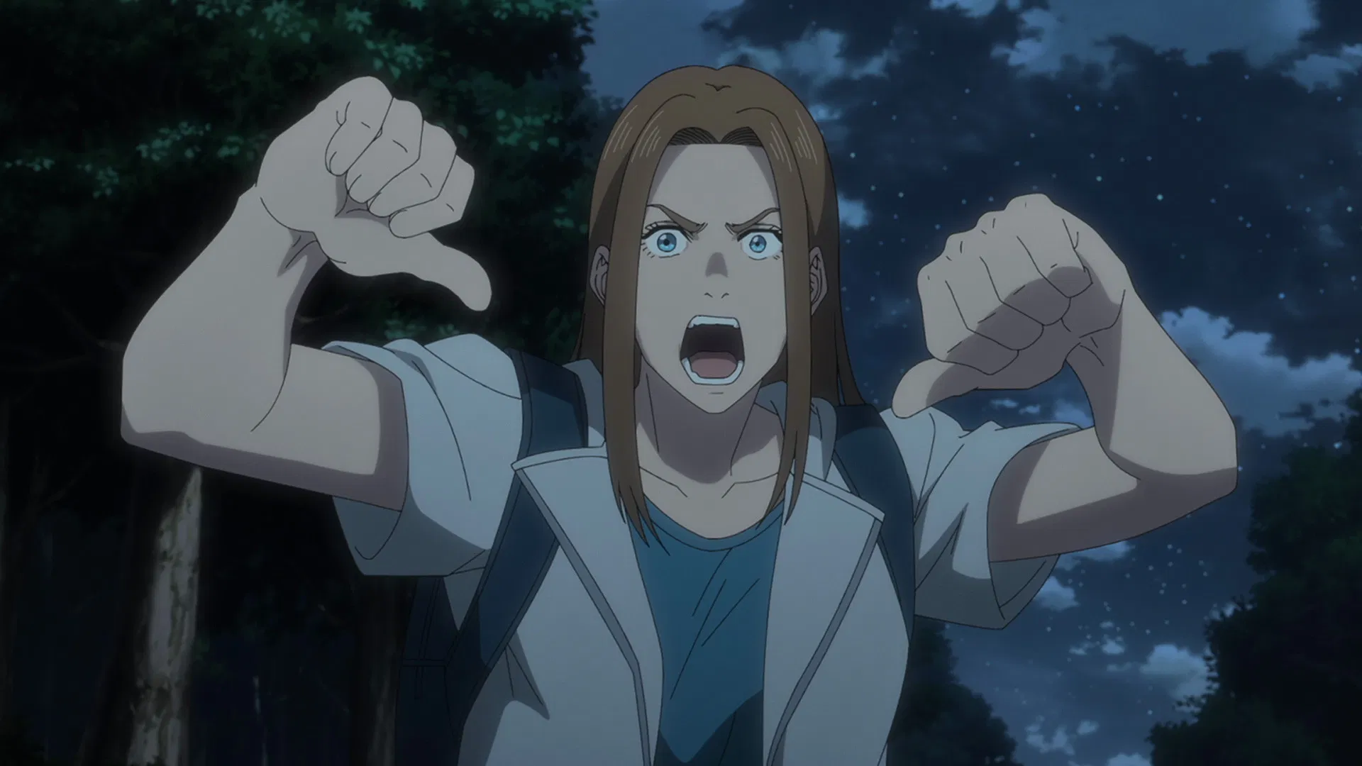 Инцидент Дарвина