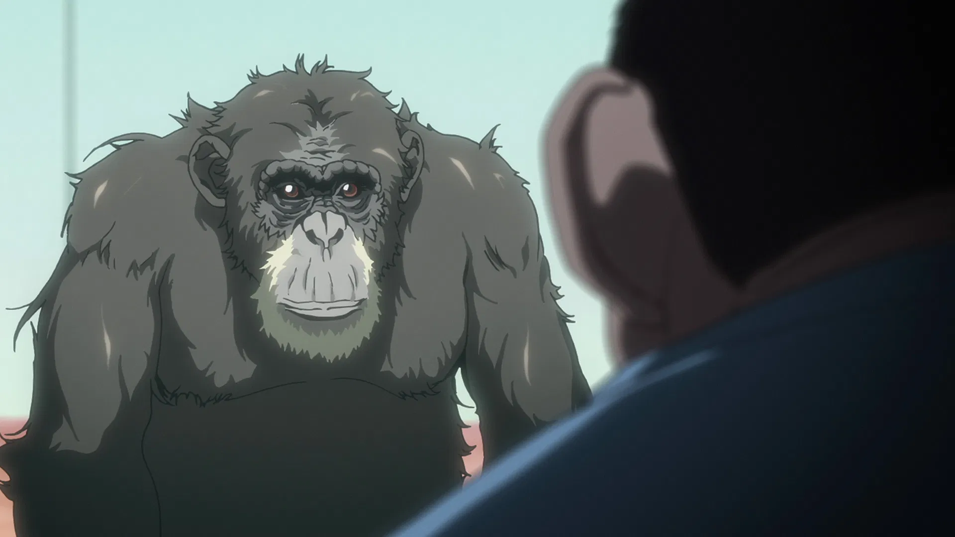 Инцидент Дарвина