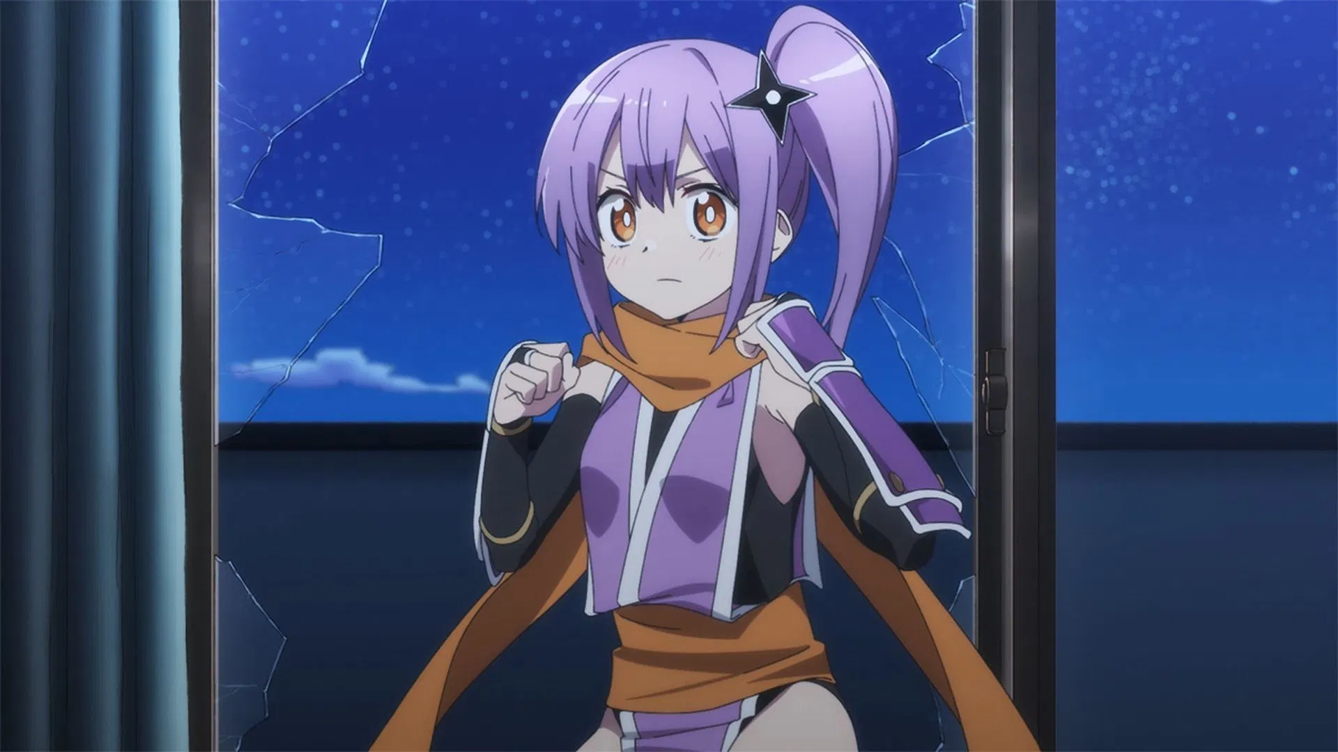 Жизнь ниндзя и убийцы