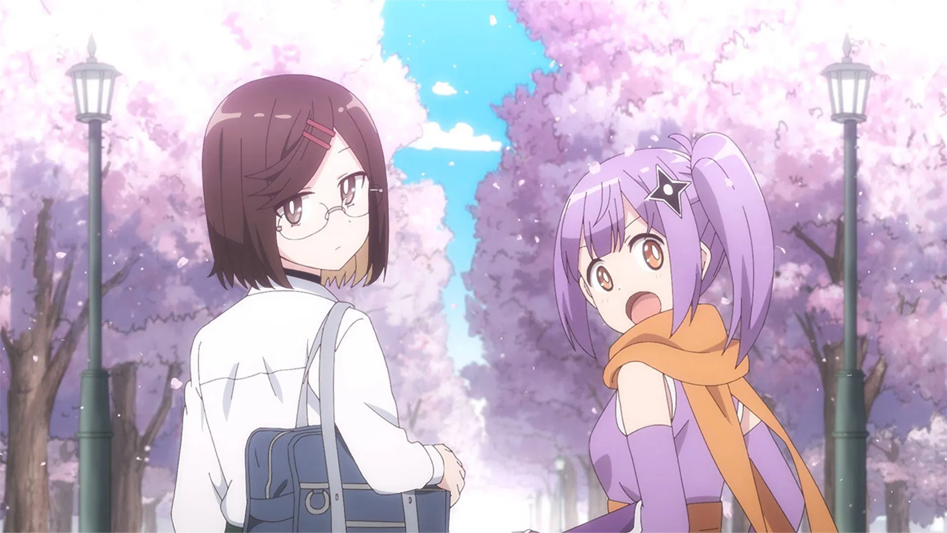 Жизнь ниндзя и убийцы