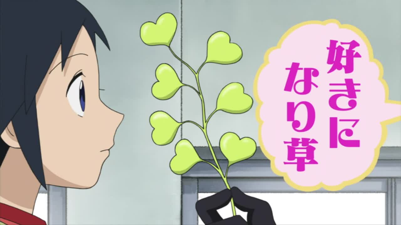 А вот и чёрная колдунья!