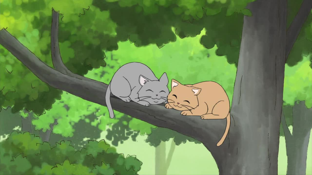 А вот и чёрная колдунья!