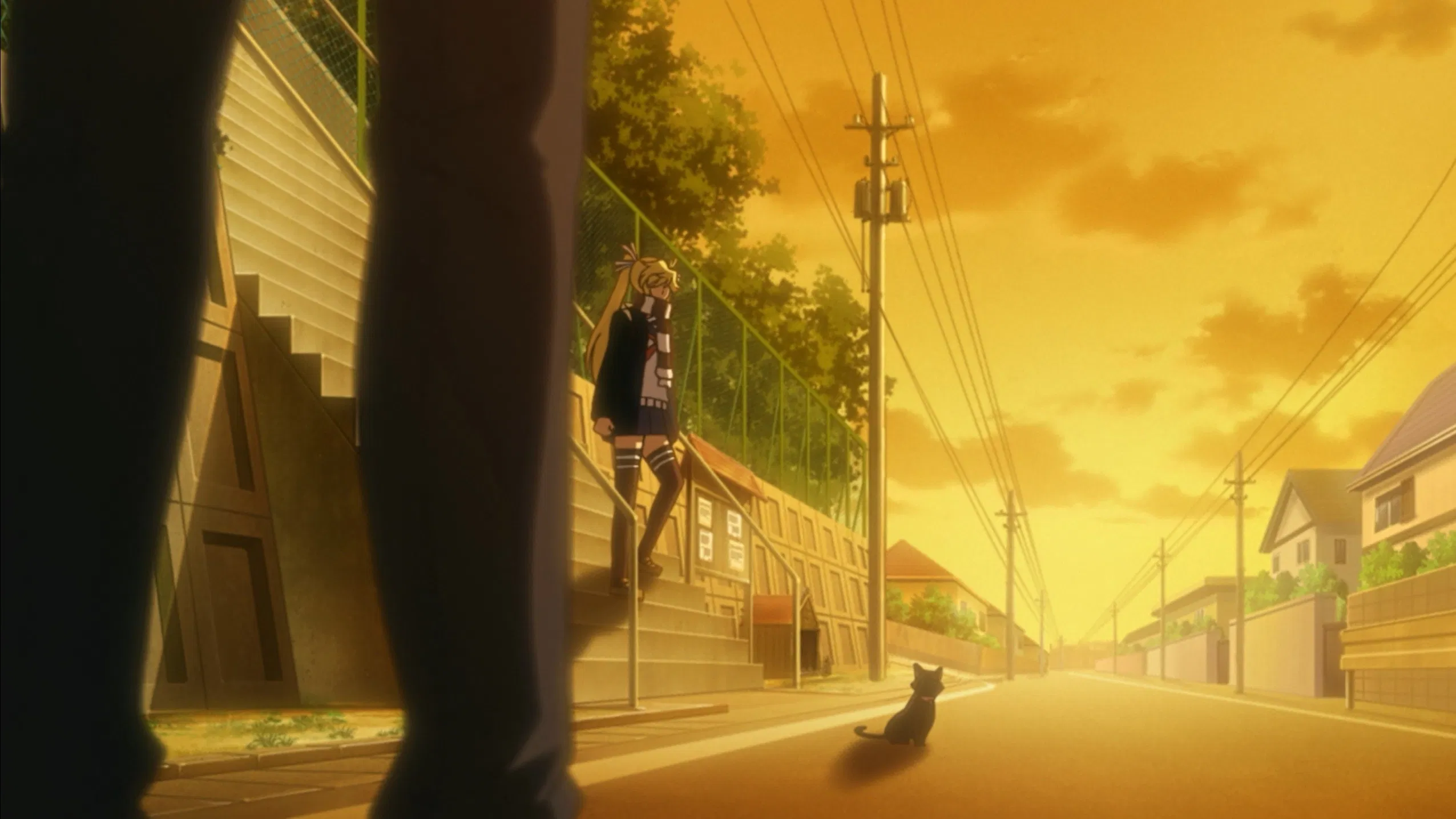 Кошачьи прихоти!