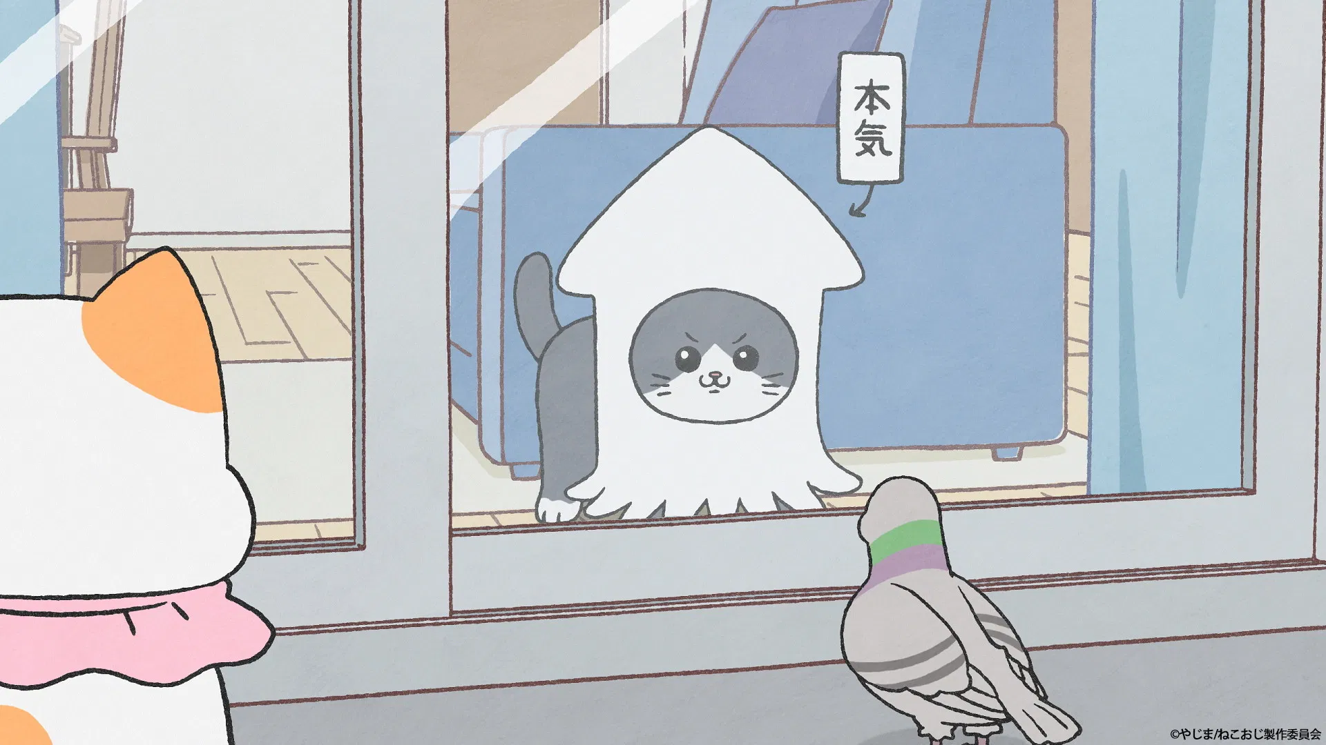 Старик, перевоплотившийся в кота