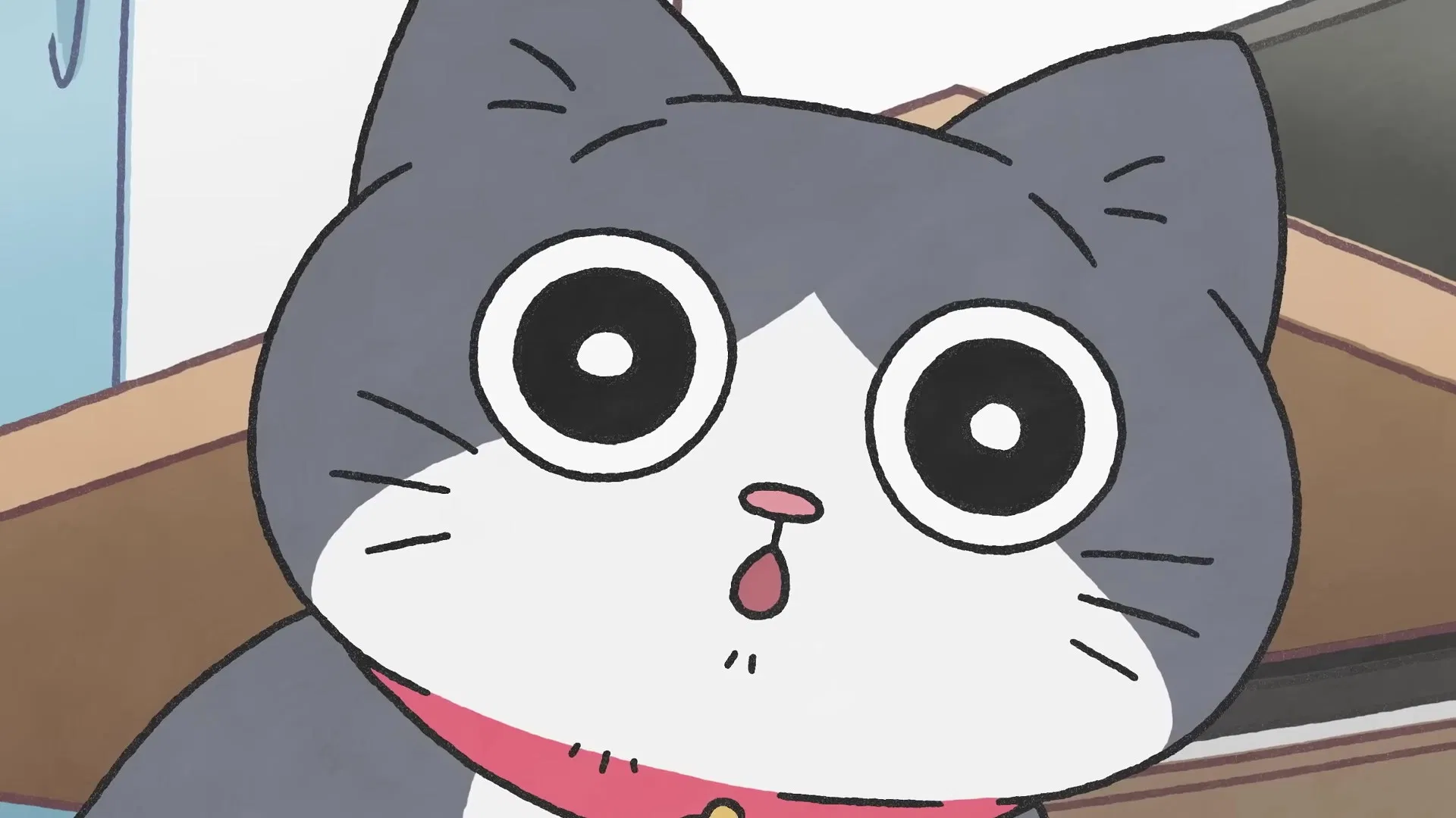 Старик, перевоплотившийся в кота