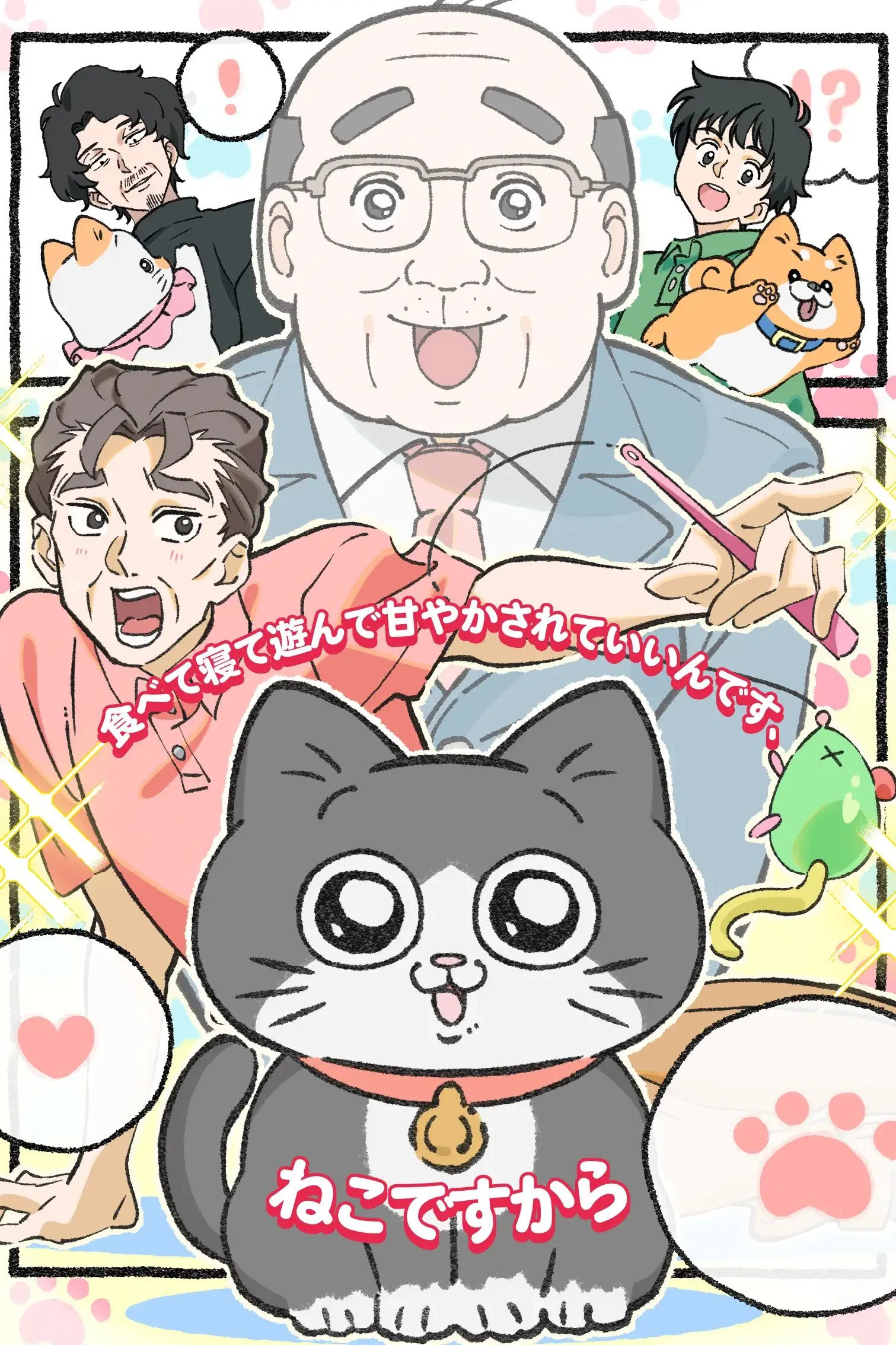 Старик, перевоплотившийся в кота