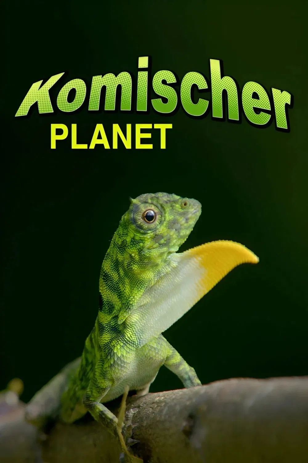 Моя странная жизнь