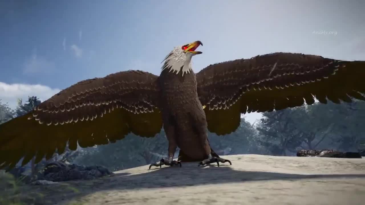 Боевой мастер